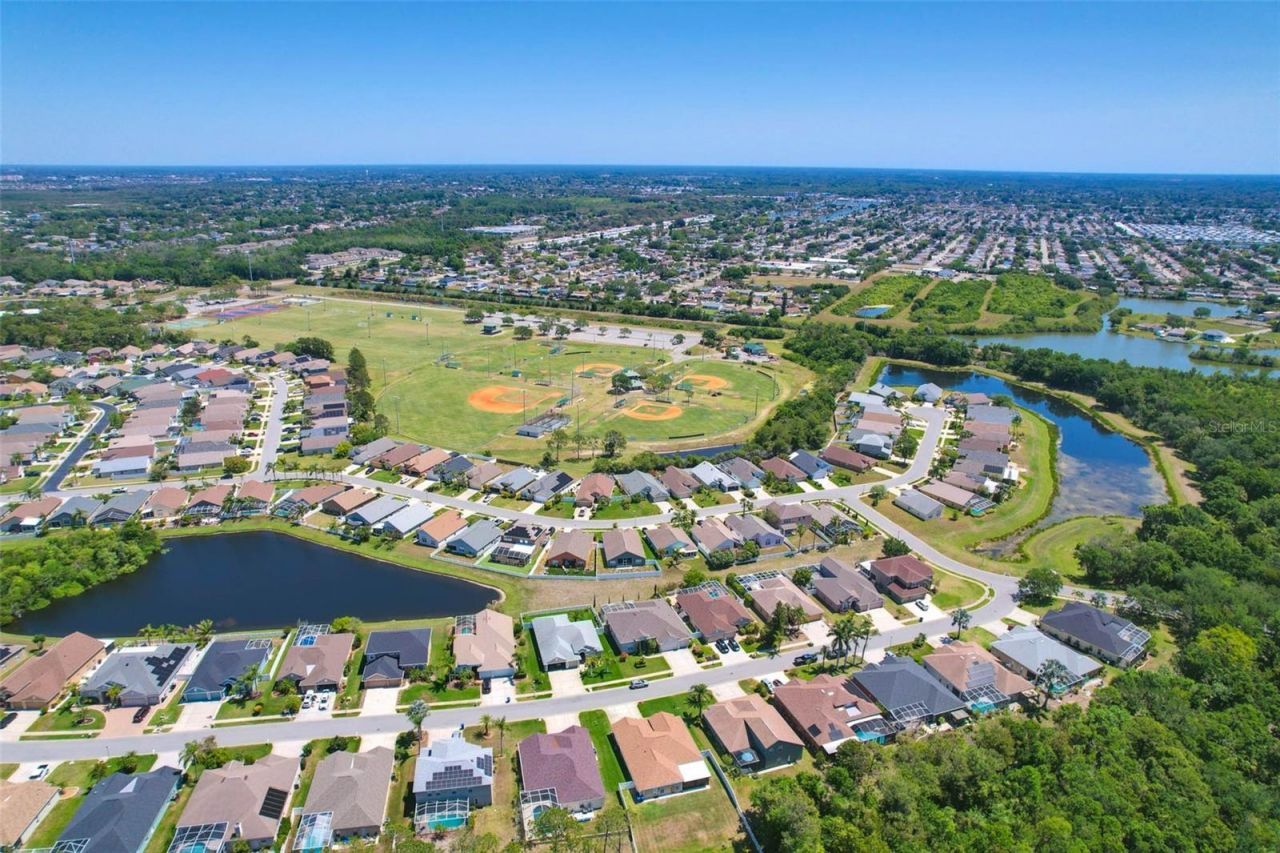 2321 Wood Pointe Drive, Holiday, FL 34691 Photo