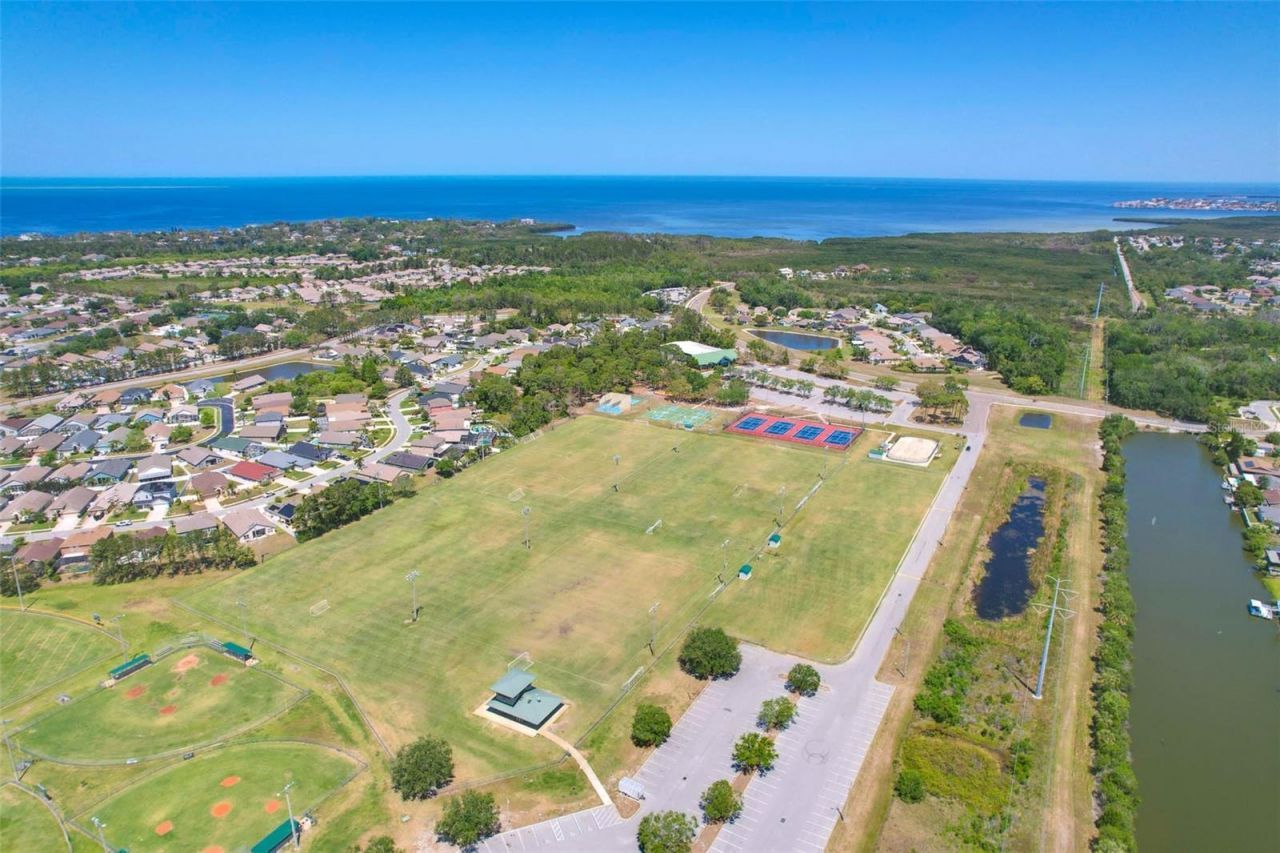 2321 Wood Pointe Drive, Holiday, FL 34691 Photo