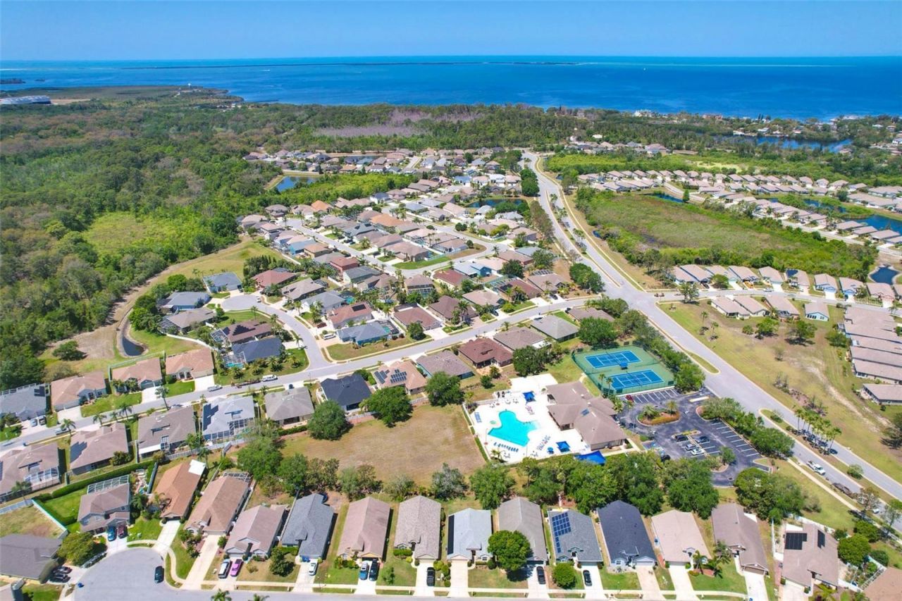 2321 Wood Pointe Drive, Holiday, FL 34691 Photo