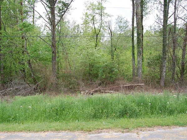 66 51st Avenue, Gruetli Laager, TN 37339