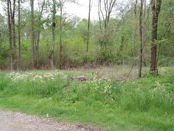 67 51st Avenue, Gruetli Laager, TN 37339