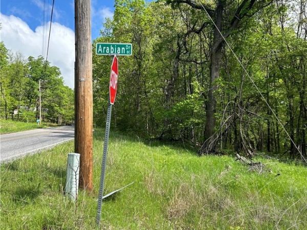 Arabian Drive, Rogers, AR 72756