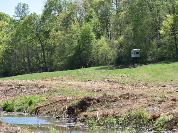 0 Buckner Ridge Road, Bon Aqua, TN 37025