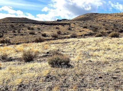 790 Schellbourne Street, Reno, NV 89511 Photo