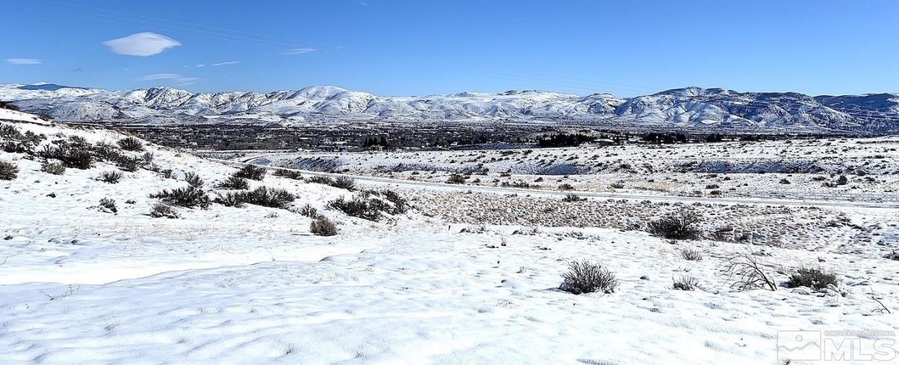 790 Schellbourne Street, Reno, NV 89511 Photo