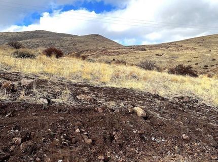 810 Schellbourne, Reno, NV 89511 Photo