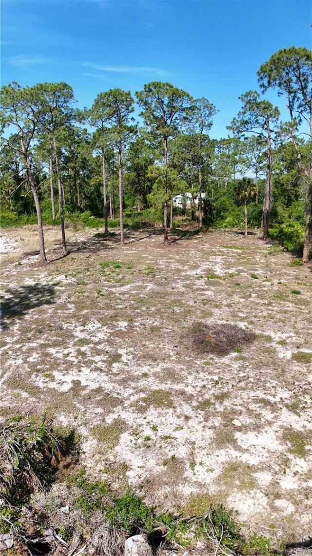 2005 Columbus Avenue, Alva, FL 33920 Photo