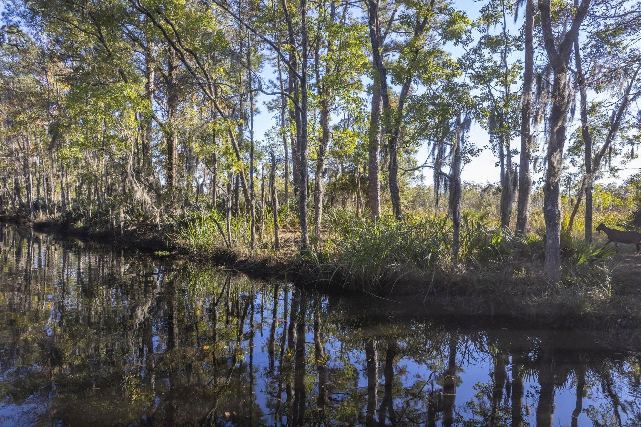 4401 Prices Bridge Lane Photo 39