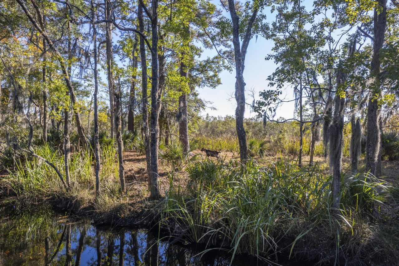 4401 Prices Bridge Lane Photo 40