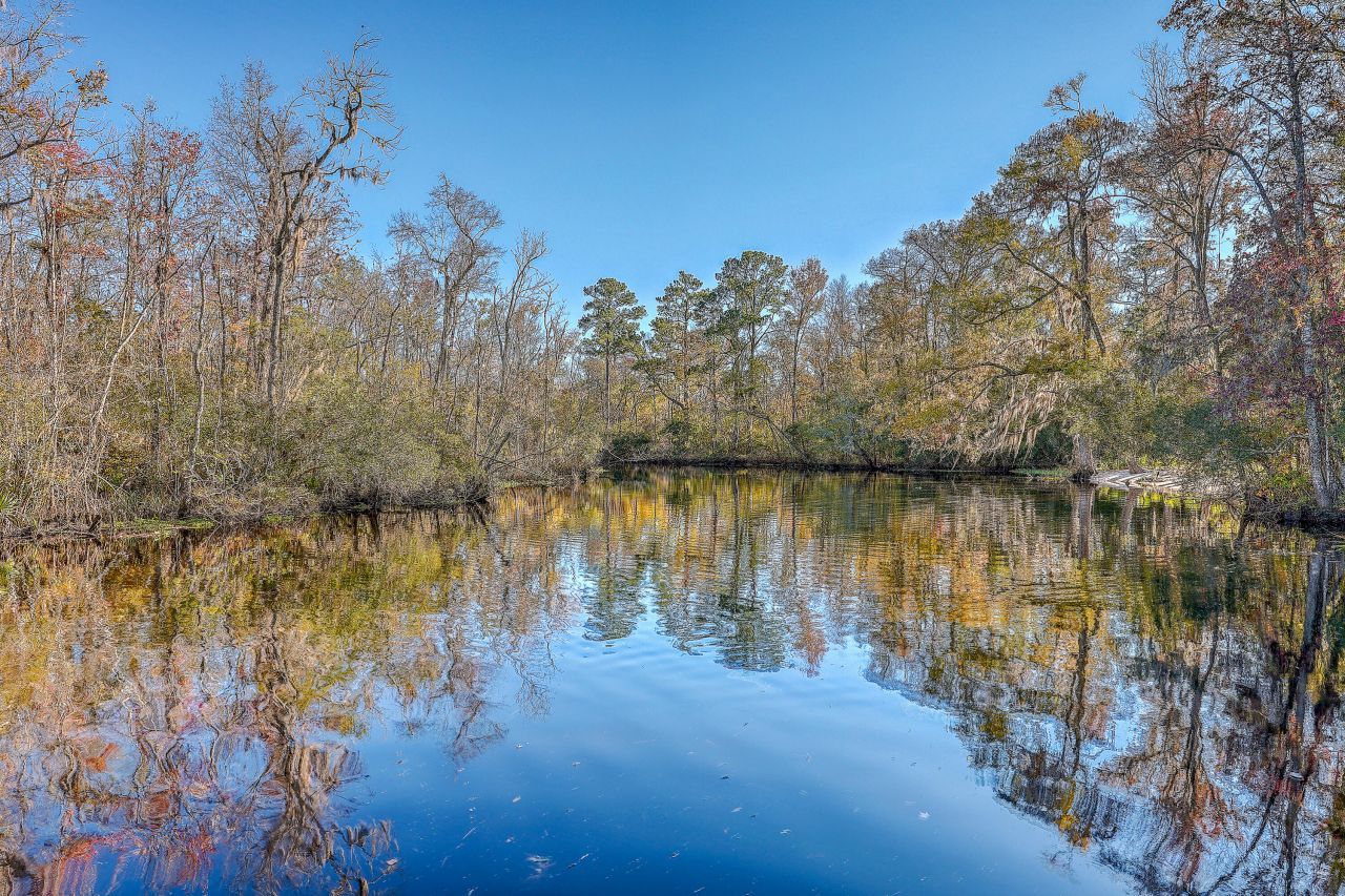 4401 Prices Bridge Lane Photo 58