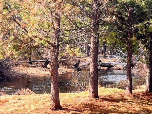 11762 Hemlock Creek Road, Crescent Lake, OR 97733