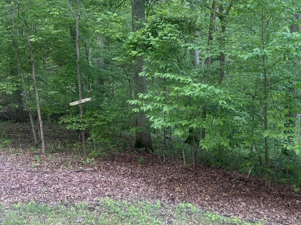 0 Cedar Lane, Sugar Tree, TN 38380