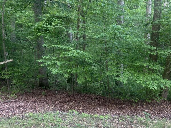 0 Cedar Lane, Sugar Tree, TN 38380