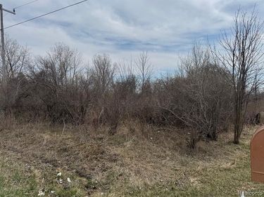 000 Metcalf Road, Clyde Twp, MI 48049