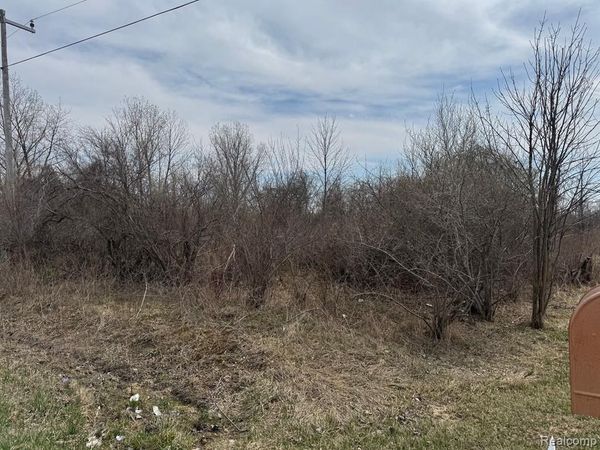 000 Metcalf Road, Clyde Twp, MI 48049