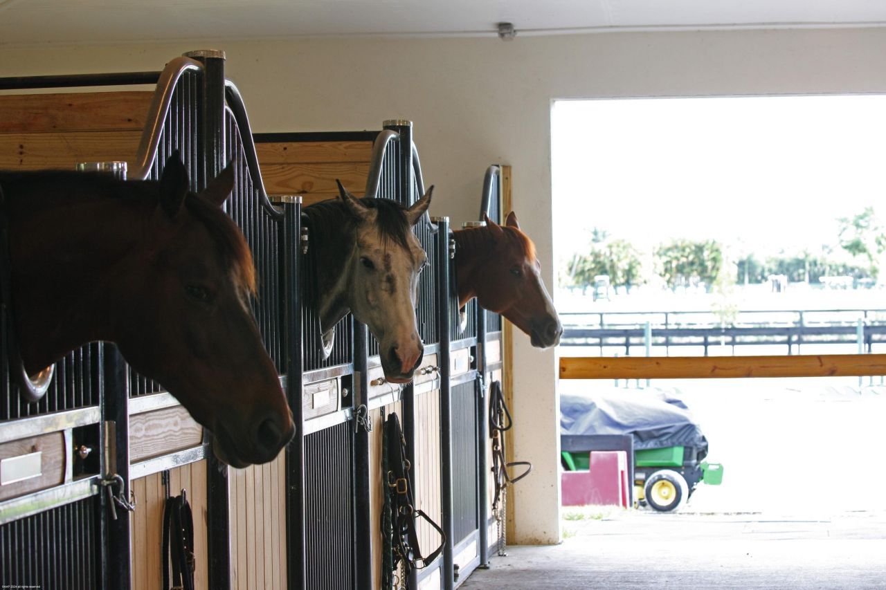 16028 Norris Road, Wellington, FL 33470 Photo