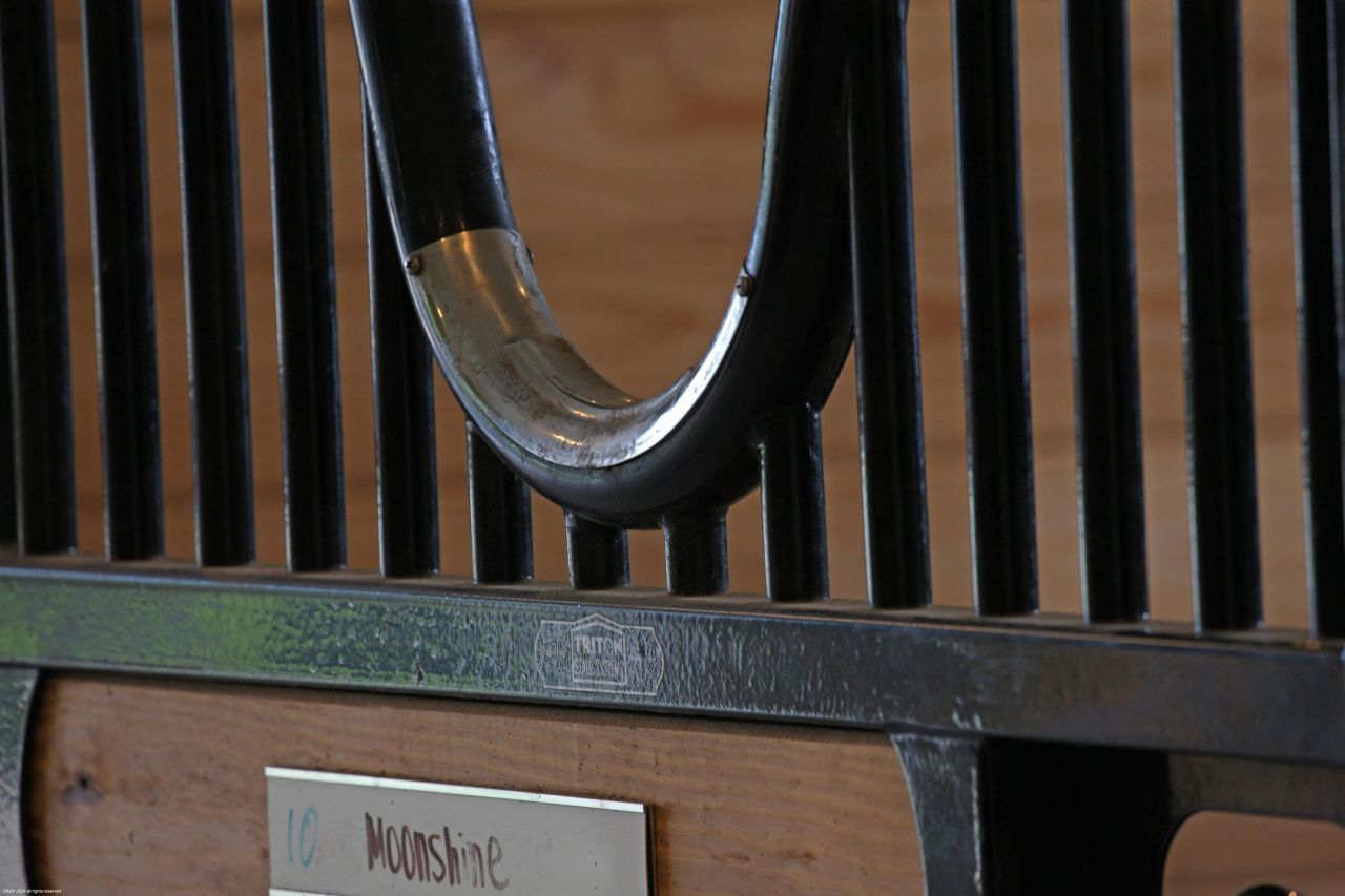 16028 Norris Road, Wellington, FL 33470 Photo