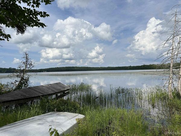 Off Forest 8300 Road, Marenisco Twp, MI 49947