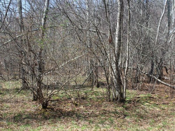 927-943 Briscoe Road, Swan Lake, NY 12783