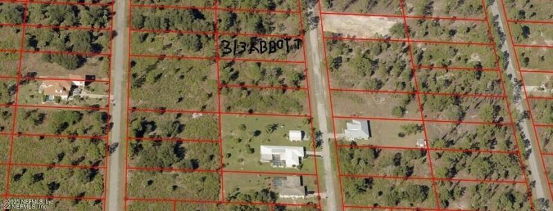 313 Abbott Avenue, Lehigh Acres, FL 33936 Photo