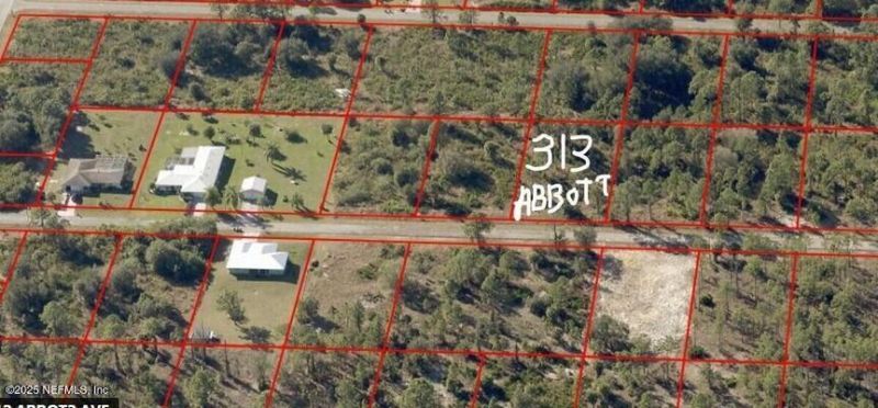 313 Abbott Avenue, Lehigh Acres, FL 33936 Photo