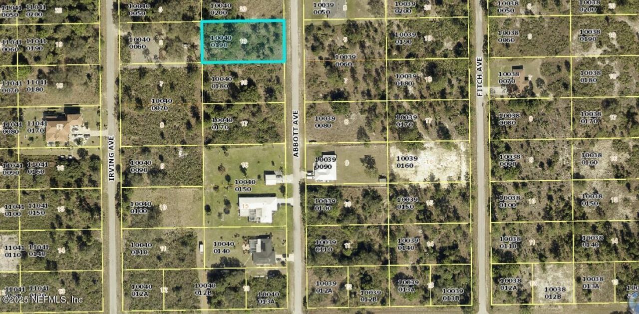 313 Abbott Avenue, Lehigh Acres, FL 33936 Photo