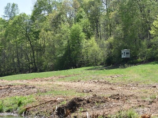 0 Buckner Ridge Road, Bon Aqua, TN 37025