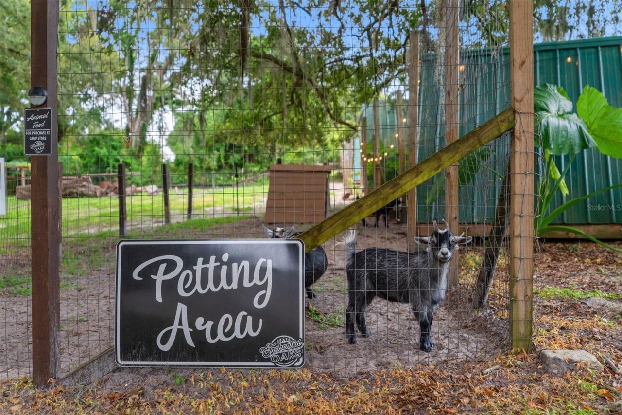 889 SW 165th Street, Ocala, FL 34473 Photo