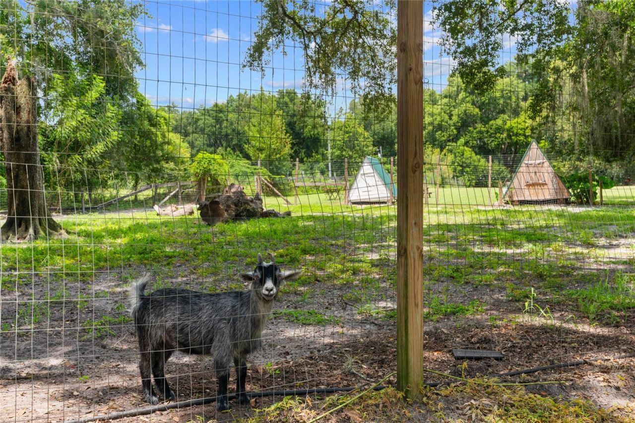 889 SW 165th Street, Ocala, FL 34473 Photo