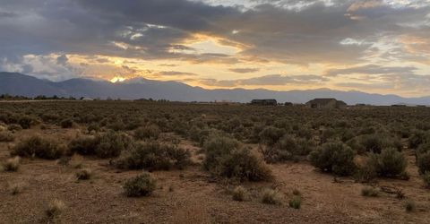 360 Ludwig, Smith, NV 89430 Photo