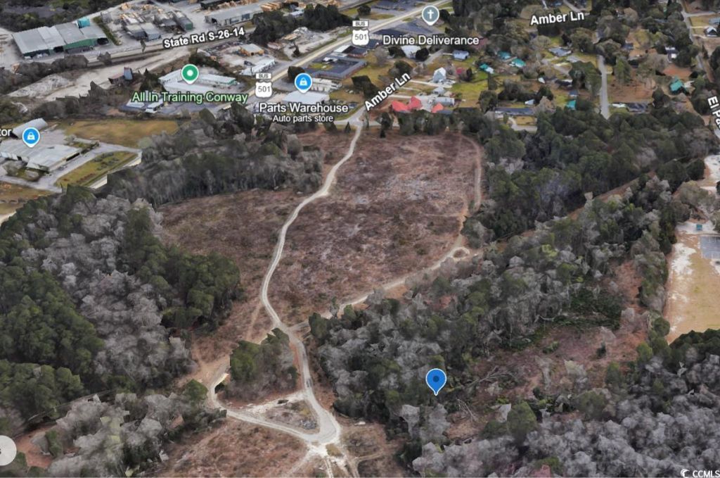 Tbd1150 Highway 501 Business Photo 12