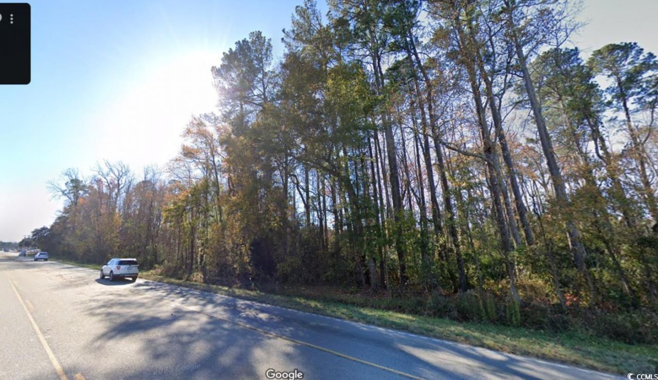 Tbd1150 Highway 501 Business Photo 18