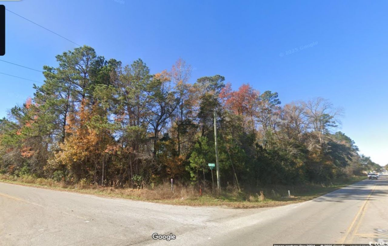 Tbd1150 Highway 501 Business Photo 4