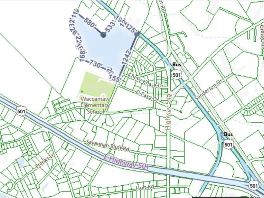 Tbd1150 Highway 501 Business Photo 5