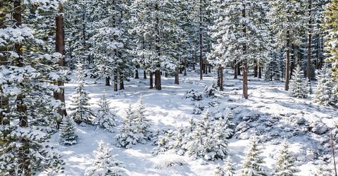 9264 Heartwood Drive, Truckee, CA 96161 Photo