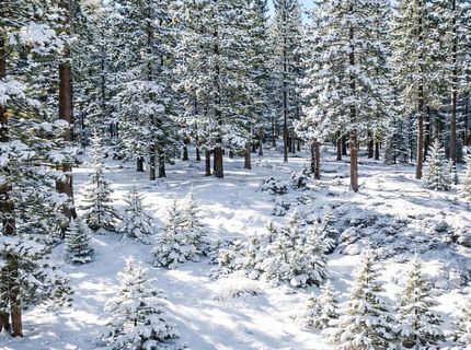 9264 Heartwood Drive, Truckee, CA 96161 Photo