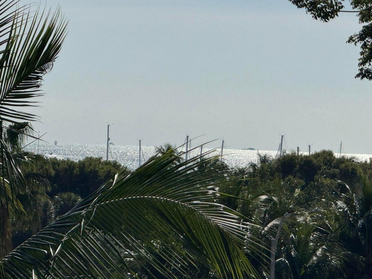 3400 SW 27th Avenue, Unit 303, Miami, FL 33133 Photo