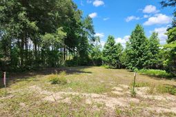 125 Meadow Lane photo 4