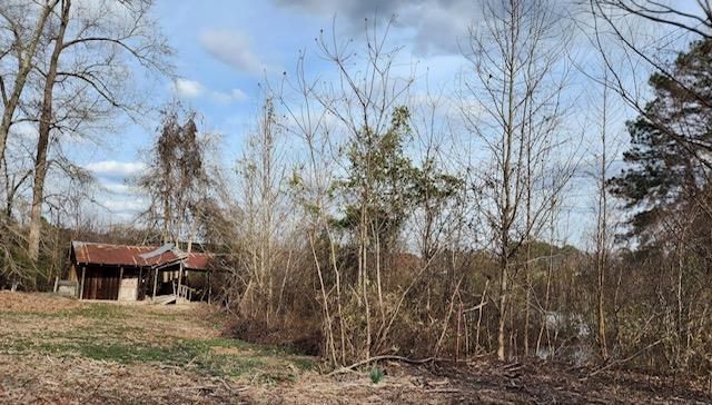 125 Meadow Lane Photo 9