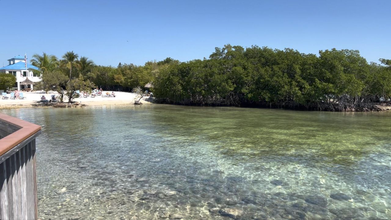 500 Burton Drive, Unit 1204, Tavernier, FL 33070 Photo