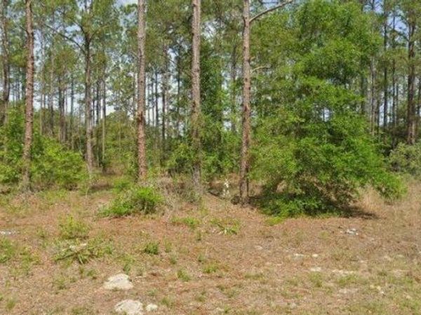 10940 N LETTERWOOD WAY, DUNNELLON, FL 34434