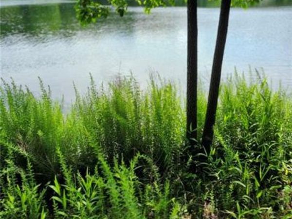 158 Greentree Ridge, Mound City, KS 66056