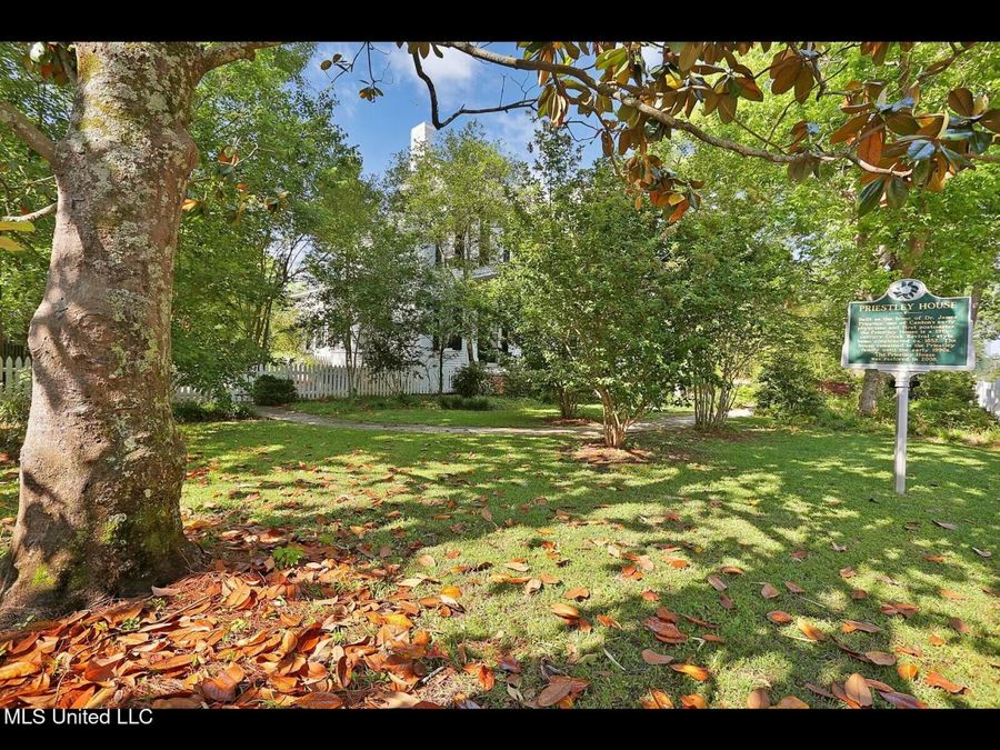 Property Image 74
