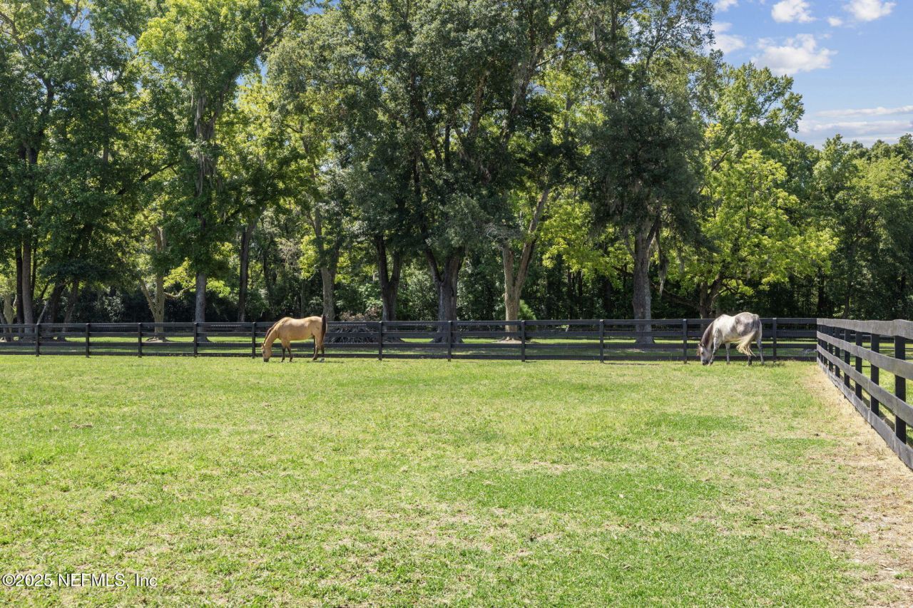 455 County Road 217, Jacksonville, FL 32234 Photo