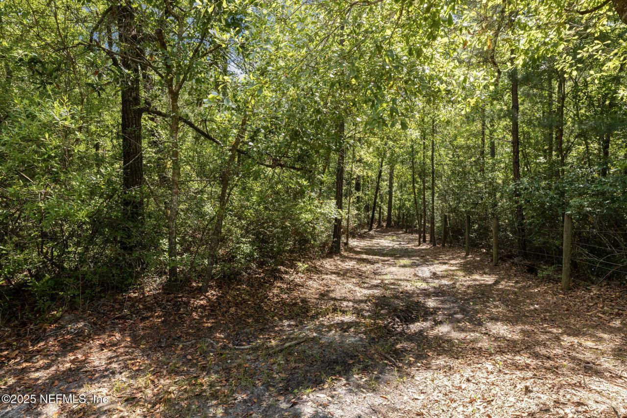 455 County Road 217, Jacksonville, FL 32234 Photo