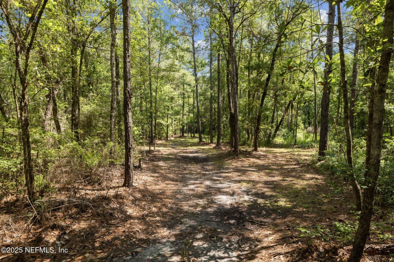 455 County Road 217, Jacksonville, FL 32234 Photo