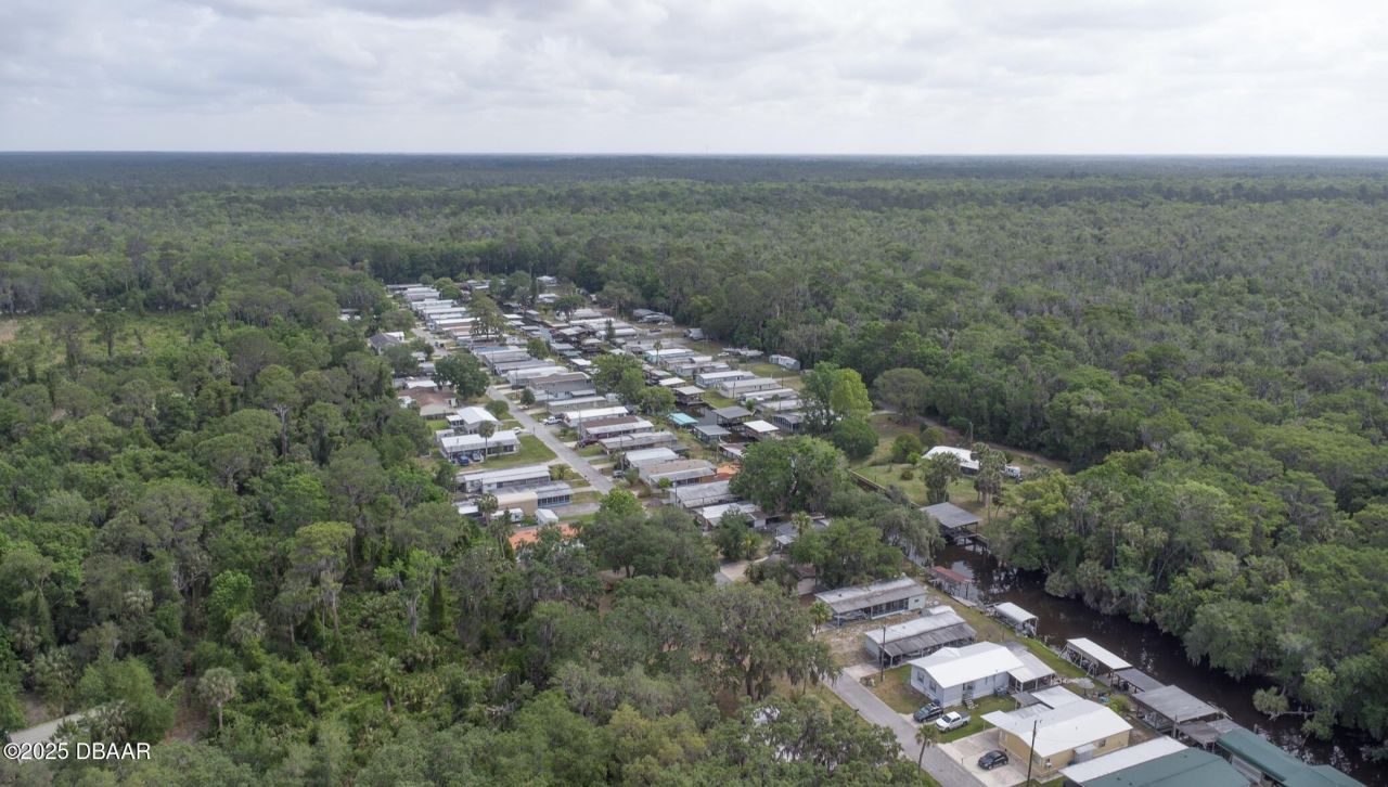 1651 Bass Avenue, Seville, FL 32190 Photo