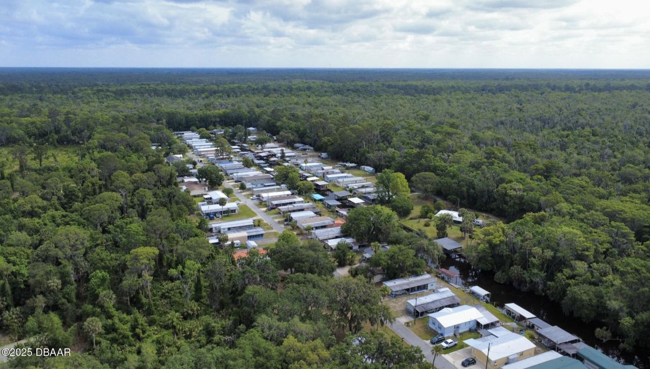 1651 Bass Avenue, Seville, FL 32190 Photo