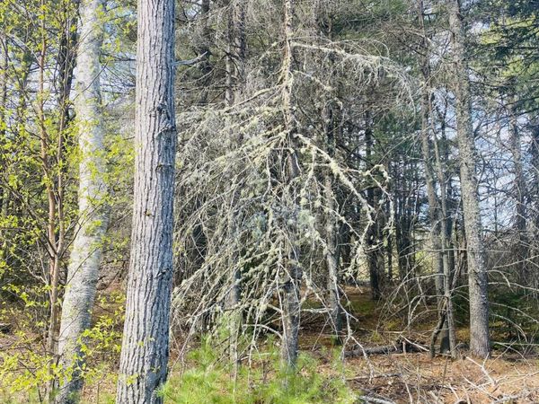 165 (#13) Pine Ledge Road, Bangor, ME 04401