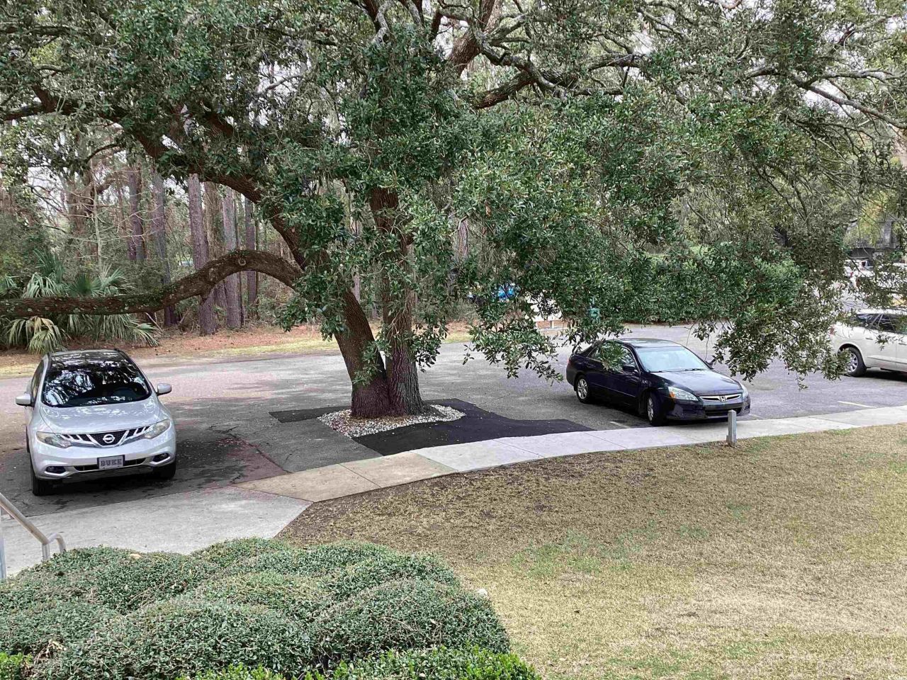 409 Salt Marsh Circle Photo 19